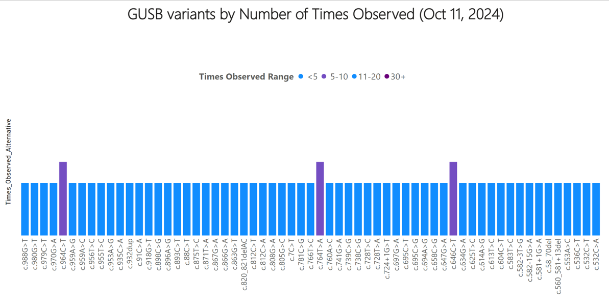 Power BI Report Preview